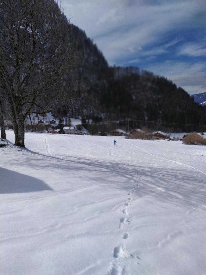 Villa Le Clair Logis Sixt Esterno foto